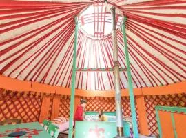 Yourte Dans La Forêt