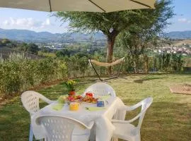 Nice Home In Serra Dè Conti With Wifi