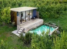 Lemon Grove Bungalow with Private Pool - Oporto Lemon Farm, near Porto