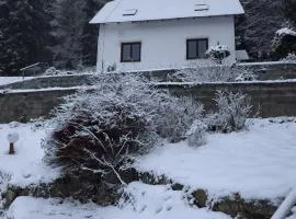 The House Next to the Forest - LAKMAT