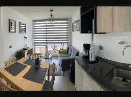 Depto centro Valdivia vivo Caupolican 243