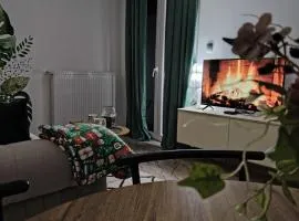 Apartman NIT Banja Koviljača
