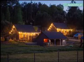 APANÓWKA domki z balią jacuzzi sauna