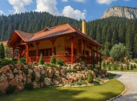Lacu Roșu Mountain Lodge