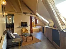 Romains - Bel appartement à Reims