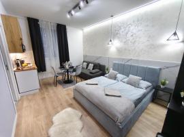 Belvárosi Lux Apartman, ξενοδοχείο σε Vásárosnamény