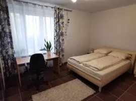 Apartament STASZICA