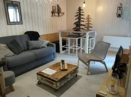 Studio 5 Pers, rdc, pied des pistes