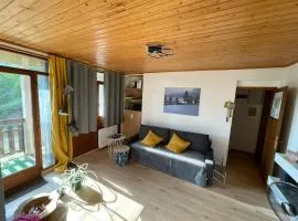 Charming Apartment au pied des pistes