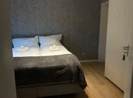 Modern 2-room apartment with large kitchen