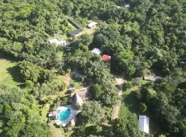 Calico Jack's Resort