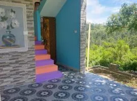 Yellow Rays Homestay