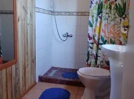 Cabaña punta de Lobos