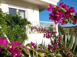 Casa da Alegria Boutique Guest Suite