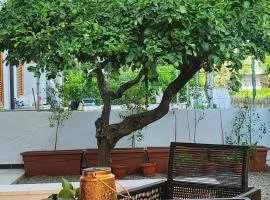 Lime Calabria Apartment