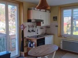 Appartement confortable à La Bresse avec terrasse