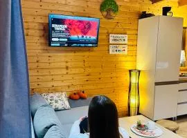 Dolina Bella - ogrzewany domek z balią, sauną i kominkiem w sercu Kaszub