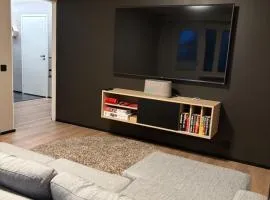 Stylish and cozy apartment