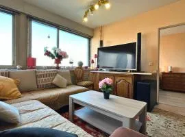 Le Panorama Mulhouse