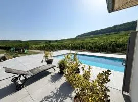 Domaine Wagenbourg à Soultzmatt