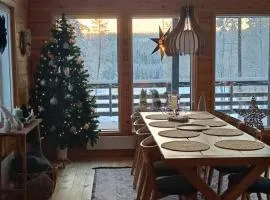 Villa Joutti Luxury house