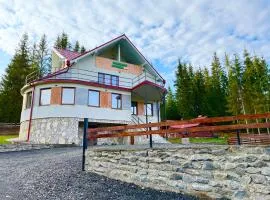 Panoramic Apuseni Doda Pilii