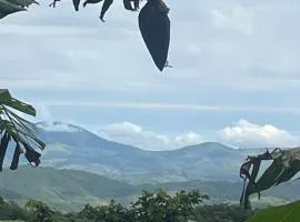 Sítio com água mineral, rio e cachoeira