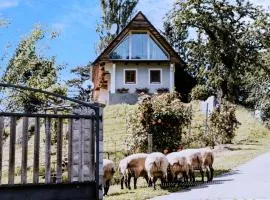 Ferienhaus am HerbstHof