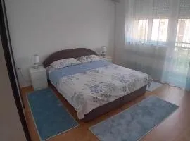 Apartment Aleksandar