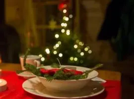 Domki KOLONIA LEŚNA z sauną i gorącą balią