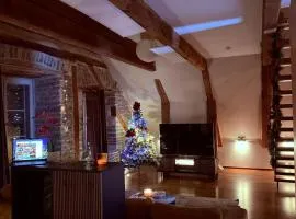 Stylish Old Town Apartment With Sauna