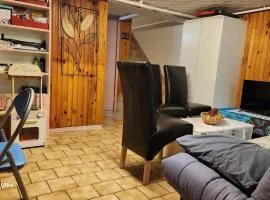 Appart en sous-sol avec jardin