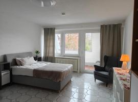 1 Zimmer Apartment in Bad Säckingen，位于巴特塞京根的酒店