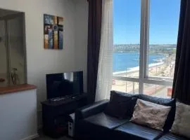 Gran departamento frente a la playa