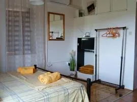 Studio Apartment with Terrace
