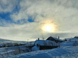Family Cabin Near Rallarvegen And Geilo, hotel in Ustaoset