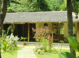 Payapa garden Nagtabon Beach