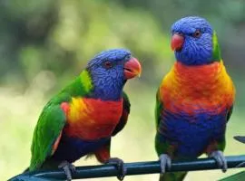 Mermaids Mango House