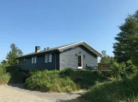 Summer House Close To Nature Near Slettestrand