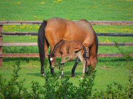 Beautiful Lodge in Newmarket with parking, chalet de monta&ntilde;a en Newmarket