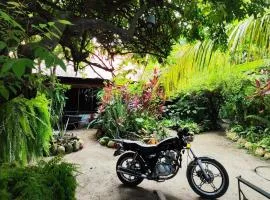 Guatiguara dónde Orlando