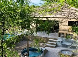 Dung Beetle Bush Villa