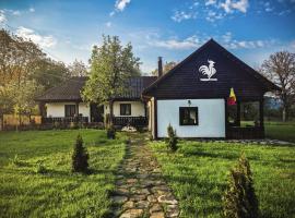 Pensiunea Cocoș, Hotel in Spulber