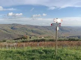 From the city to nature Mezzane di sotto VR pet-friendly