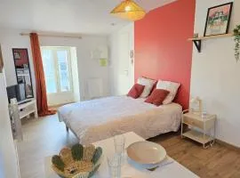 Le Cocon ô coeur du centre ville