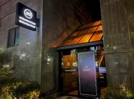 3S HOTEL 동탄점 - Boutique