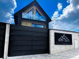 Willa Pienińska 123