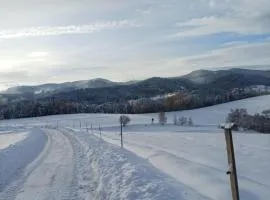 "RYVILLA" Dom na Wilkówce