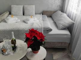 Studio Leszczyńskiego Przemyśl, hotel v destinaci Přemyšl