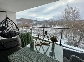 Flow Spot - Apartament z Widokiem na Szyndzielnię